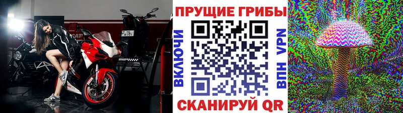 купить наркотик  Янаул  Псилоцибиновые грибы мицелий 